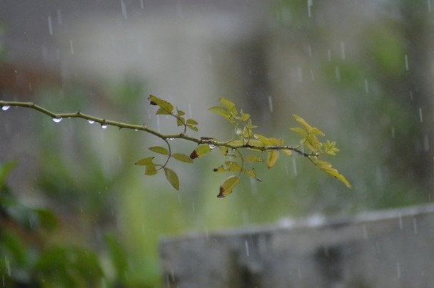 Україну накриє хвиля негоди: синоптикиня попередила про різку зміну погоди