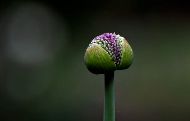 Астрологічний прогноз на 16 квітня