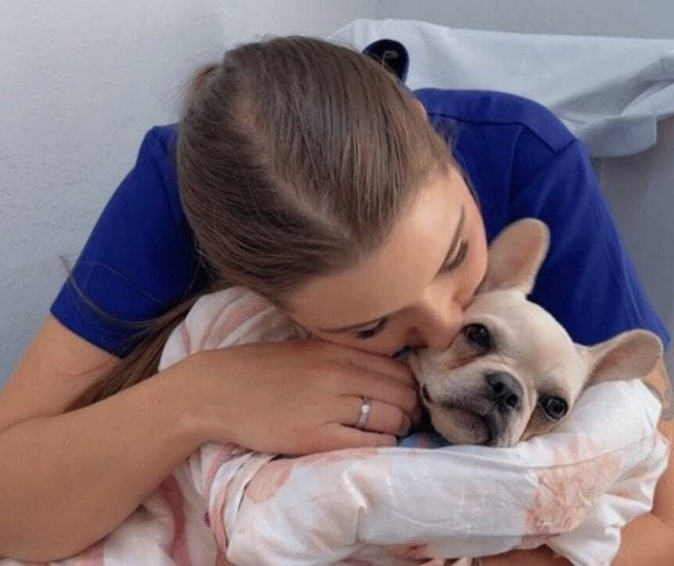 Жінка відвезла цуценя до ветеринара і тепер може сісти за ґрати: що сталося (фото)