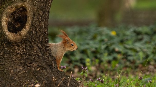 Різке похолодання після аномального тепла: синоптики розповіли, де чекати на заморозки та шквальний вітер Різке похолодання після аномального тепла: синоптики розповіли, де чекати на заморозки та шквальний вітер