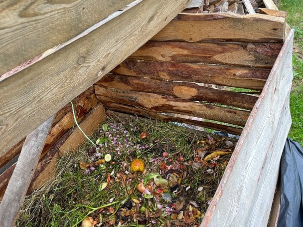 Що можна кидати в компостну яму, а що — ні: детальний розбір