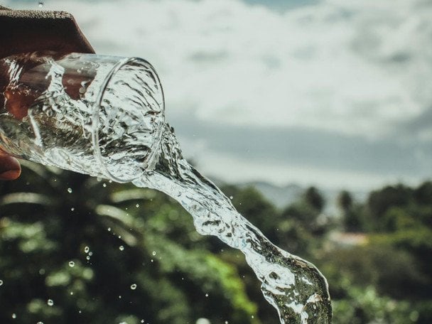 Поливаний понеділок 2026 року: дата і цікаві факти про свято, які вразять навіть українців