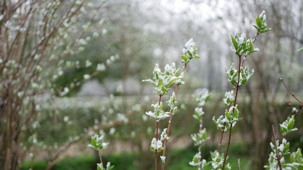 Діставайте пуховики: синоптики попередили про різке похолодання в Україні та розповіли, де буде найхолодніше