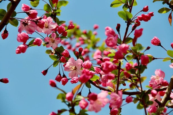 Погода на сьогодні: весняне тепло повертається, але є один нюанс