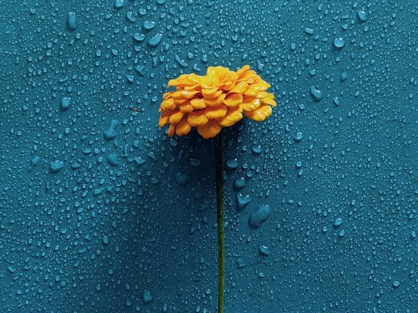 День ангела 29 квітня: кого та як вітати з іменинами