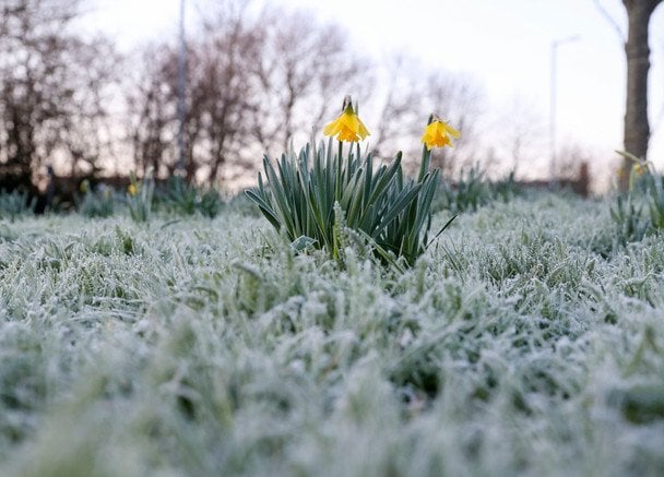 Сніг та заморозки вдарять з новою силою: в яких регіонах Україну "накриє" негода