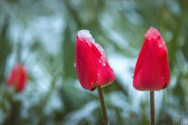 До України повертаються заморозки та сніг: синоптики назвали точну дату нової хвилі похолодання