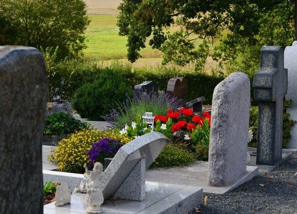 Які квіти посадити на могилі: поради експертки (фото)