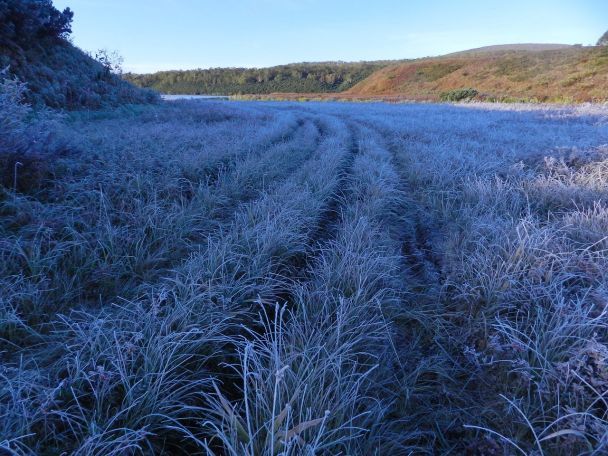 Україну накриває «зимова» стихія: потужний циклон принесе сильні заморозки і навіть сніг