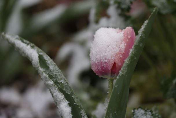До України суне пік холоднечі: які регіони накриють найсильніші морози та сніг