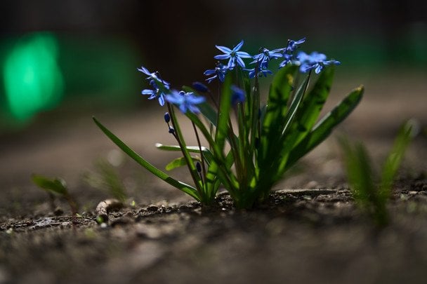 Погода кардинально зміниться: до чого готуватися українцям 20 квітня