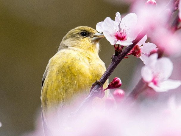День ангела 23 квітня: кого та як вітати з іменинами