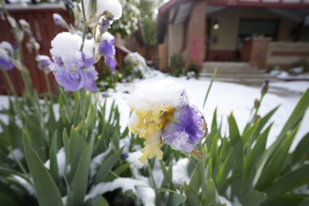 Синоптики попередили про заморозки у Києві та області