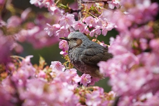 День ангела 28 квітня: кого та як вітати з іменинами