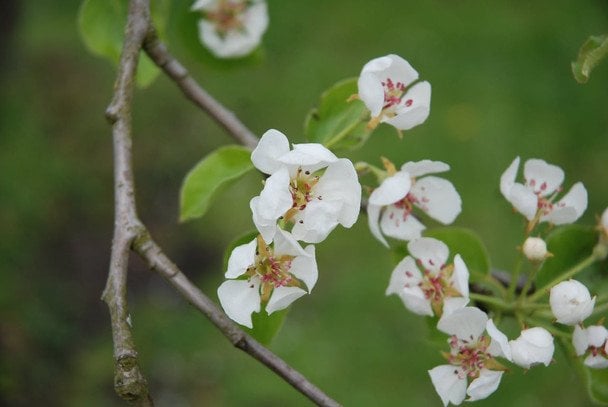 Україну скують нові заморозки: синоптик назвав точну дату ще однієї хвилі похолодання