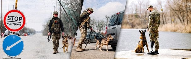 Зникли 44 дитини: їх знайшли за допомогою собак