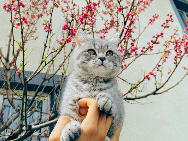 День ангела 14 квітня: кого та як вітати з іменинами