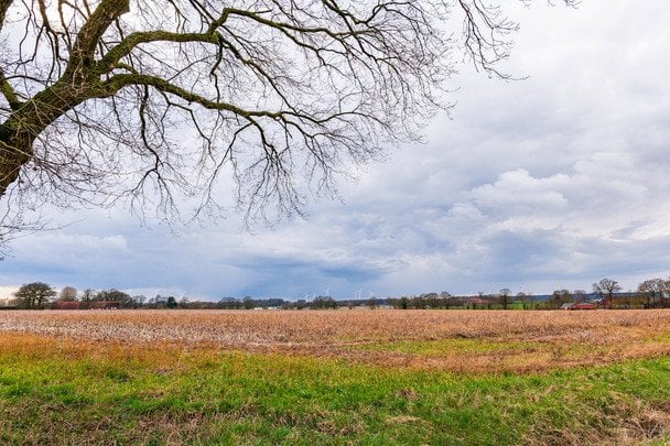 Україну накриває нова хвиля заморозків: синоптики розповіли, де і коли погода буде небезпечною