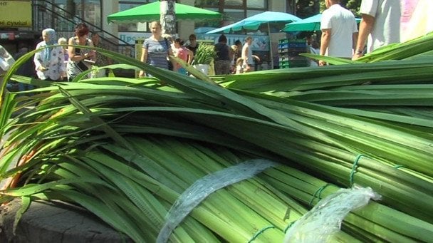 Якими гілками не можна прикрашати дім на Трійцю
