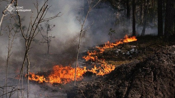 У Чорнобилі спалахнула гігантська пожежа: у вогні понад 1000 гектарів, загасити не вдається (фото)