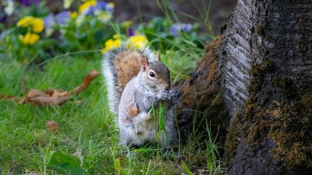 Україну накриває подвійний удар стихії перед різкою зміною погоди: де “розгуляється” негода