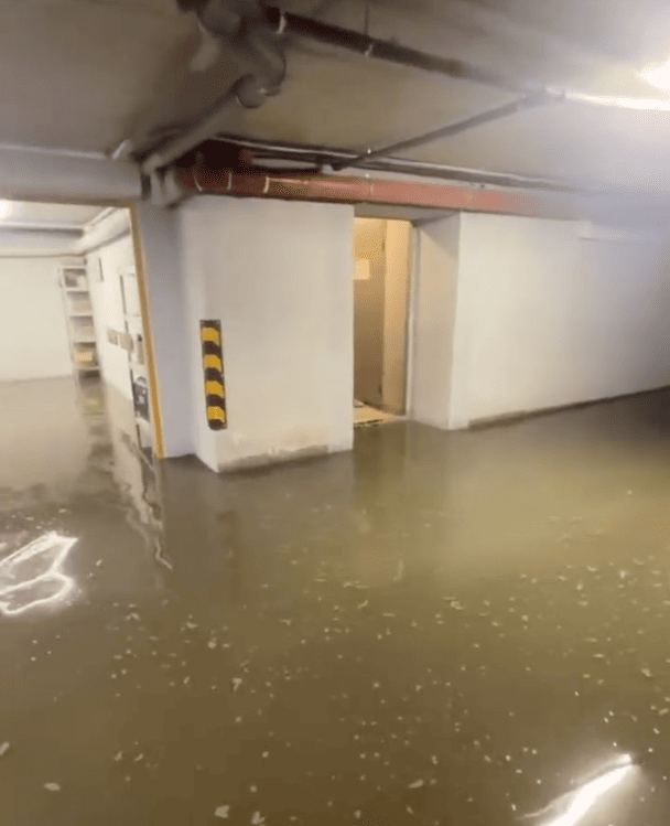 Цілі вулиці пішли під воду, а авто плавають на дорогах: у двох містах України почався “потоп” через негоду (відео)
