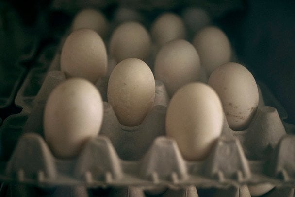 Скільки яєць насправді можна їсти на тиждень