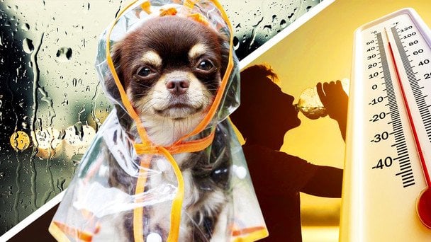 Від спеки +30 до штормового вітру і похолодання: до України суне небезпечний удар негоди