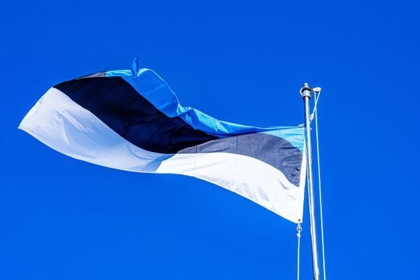 Інциденти з дронами у повітряному просторі: в Естонії звернулися до України