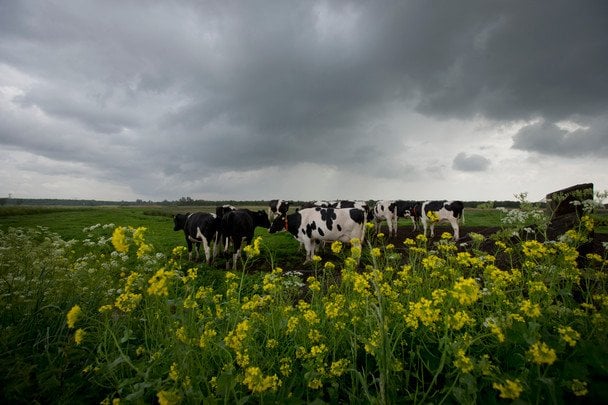 Україну накриває небезпечний удар стихії та холоднеча: де негода "розгуляється" найгірше