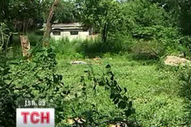 У частини українців можуть забрати городи: як не втратити землю