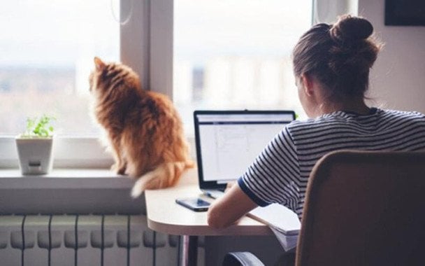 Вчені дослідили, як віддалена робота негативно пливає на психіку людини, найбільше на тих, хто живе сам