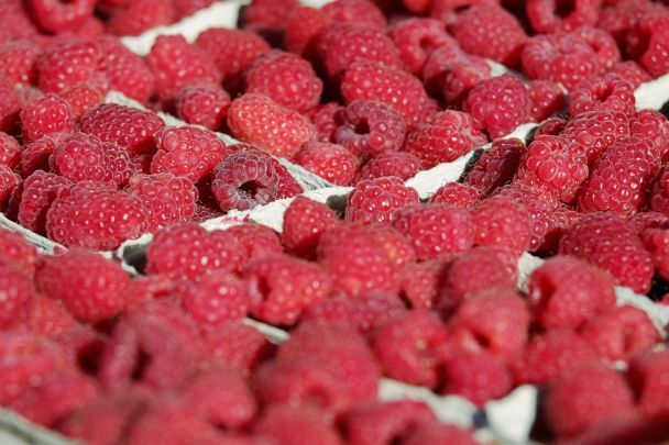 Золота малина: коли впадуть ціни на популярну ягоду — експерти ринку