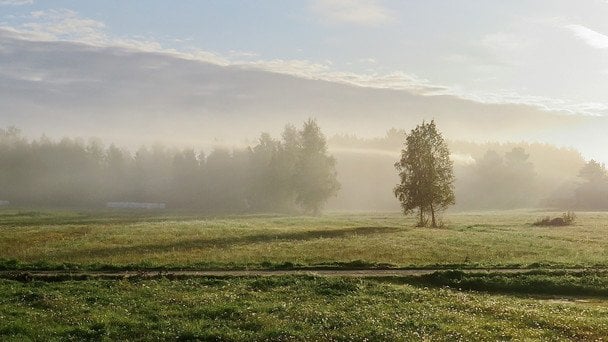 Україну накриває нове нашестя шквалів та негоди: синоптики попередили, в яких областях небезпечно (мапа)
