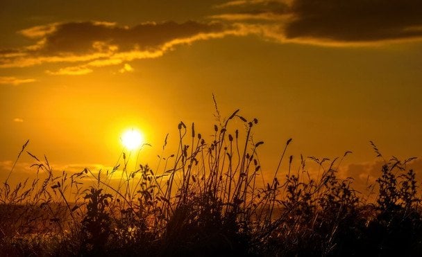 День ангела 14 червня: кого та як вітати з іменинами