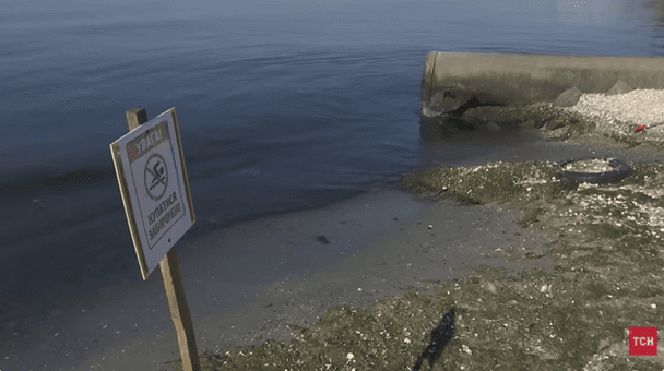 У Чорному морі біля Одеси утворилась "фекальна пляма": фото, відео