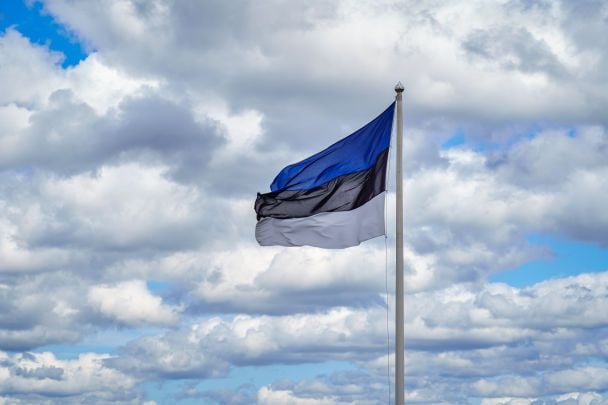 Українські прапори, дим і "гірка цибуля": в Естонії розгорівся скандал через натяк на діпстрайки по РФ