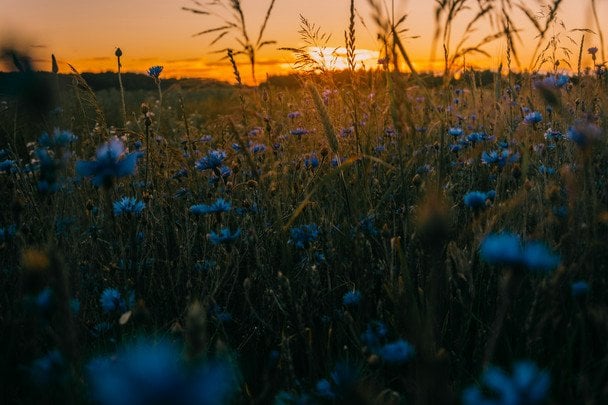 Україну накриває удар атлантичної холоднечі, буде дуже небезпечно: де "розгуляється" негода (мапа)