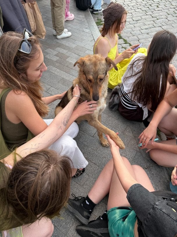 В Одесі пес, який загубився після обстрілу, сам прийшов на мітинг і знайшов господарку: щемлива історія В Одесі пес, який загубився після обстрілу, сам прийшов на мітинг і знайшов господарку: щемлива історія