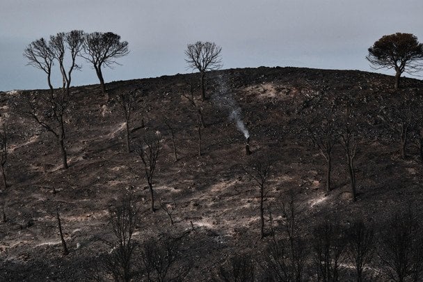 В Іспанії ширяться смертельні пожежі — апокаліптичні кадри