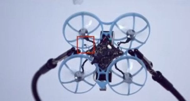 ШІ-дрони навчилися збивати комах у польоті — відео