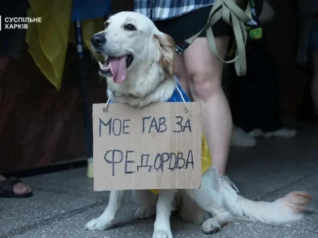 Звільнення Федорова. Протести докотилися до Німеччини – що там пишуть на картонках. Фото Звільнення Федорова. Протести докотилися до Німеччини – що там пишуть на картонках. Фото