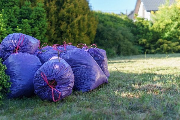 Смітник смердить і приваблює мух: прості способи позбутися проблеми влітку Смітник смердить і приваблює мух: прості способи позбутися проблеми влітку