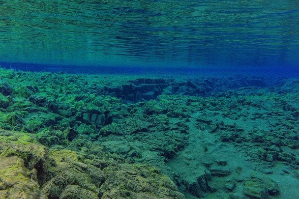 Науковці сфотографували «інопланетний» об’єкт на дні океану: що про нього відомо (фото) Науковці сфотографували «інопланетний» об’єкт на дні океану: що про нього відомо (фото)