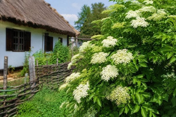 Менше 2 тисяч доларів: скільки коштує купити хату в селі, щоб пережити зиму (фото)