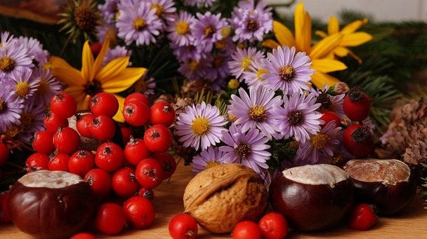 З Горіховим Спасом 2026 року: красиві привітання, листівки та картинки українською