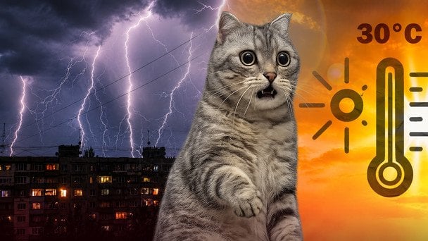Спека не відступає: де в Україні 17 серпня буде +34, а де накриють грози