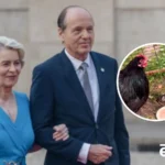 Як фон дер Ляєн врятувала курку Чікелетту від цькування. Зворушлива історія з неймовірним фіналом