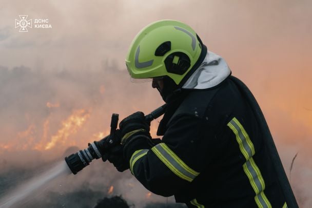 «Кожне життя безцінне»: рятувальники боролися за життя котика, що постраждав від атаки РФ на Київ (відео)