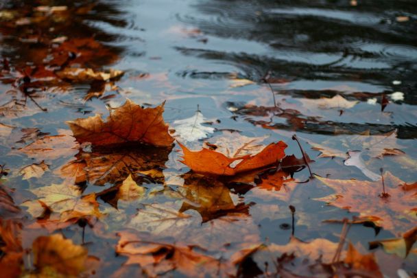 Одеса пішла під воду: місто накрили злива та шквальний вітер (відео)